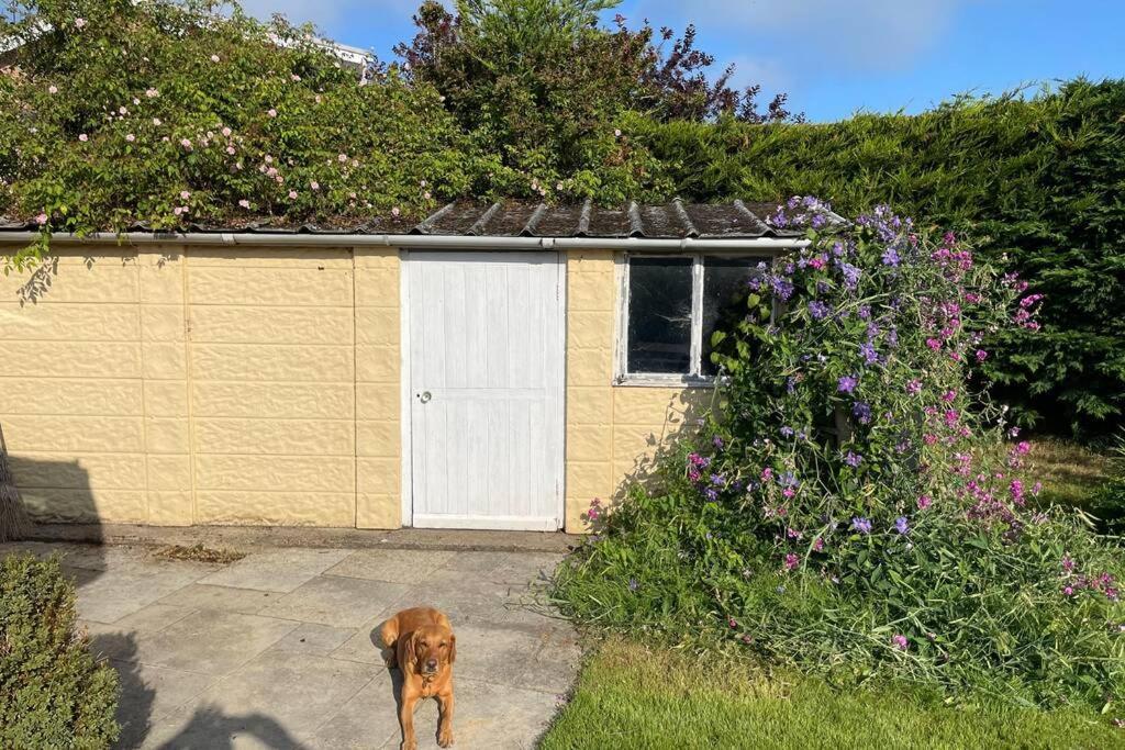 3 Bed Bungalow In Winchcombe, Cotswolds,Gloucester Экстерьер фото